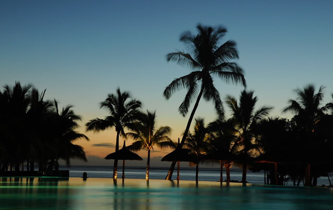 Slide 1