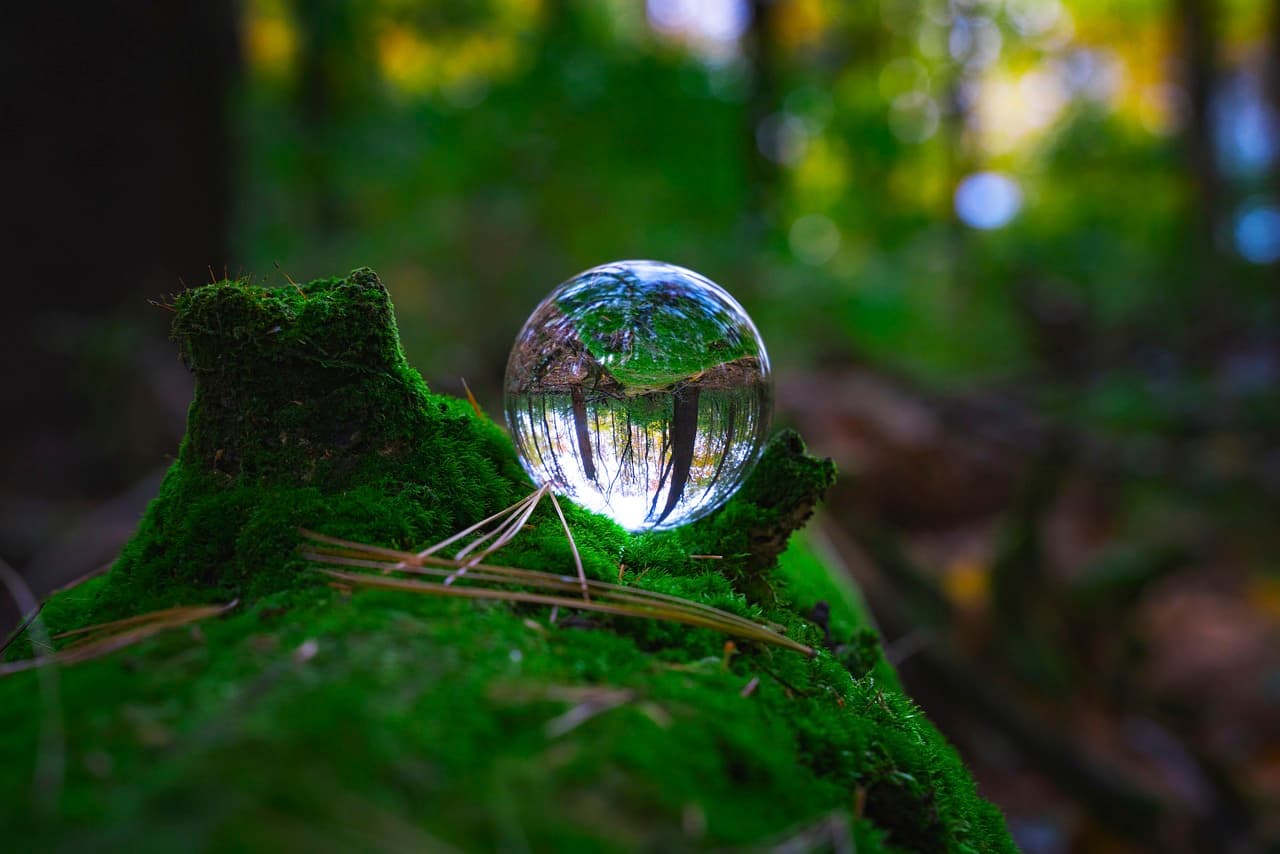 Eco adventure