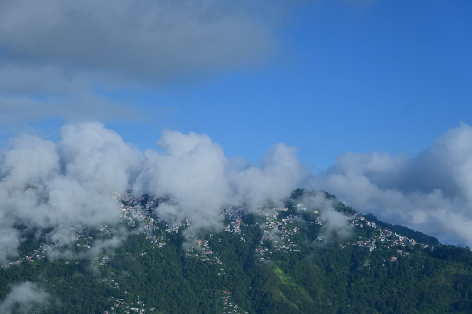 Slide 7