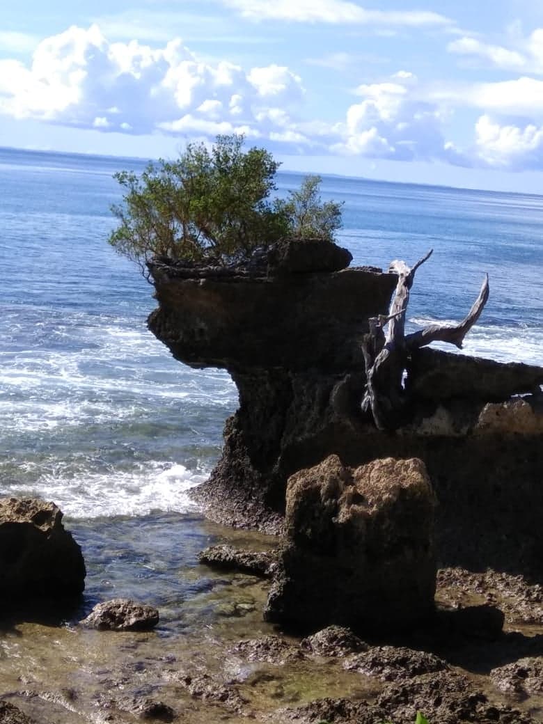 Exotic Andaman Exotic Andaman